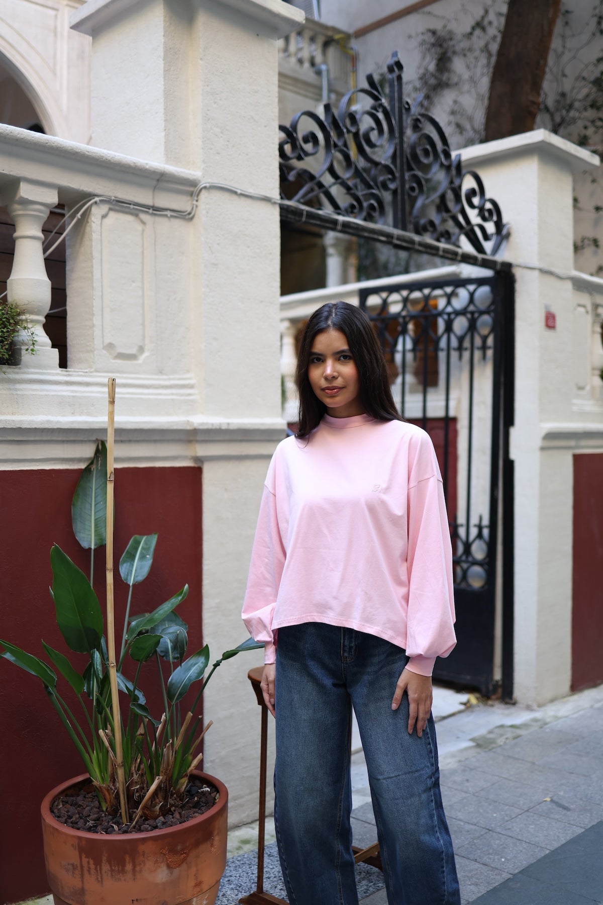 Dik Yaka Balon Kollu Body Pembe